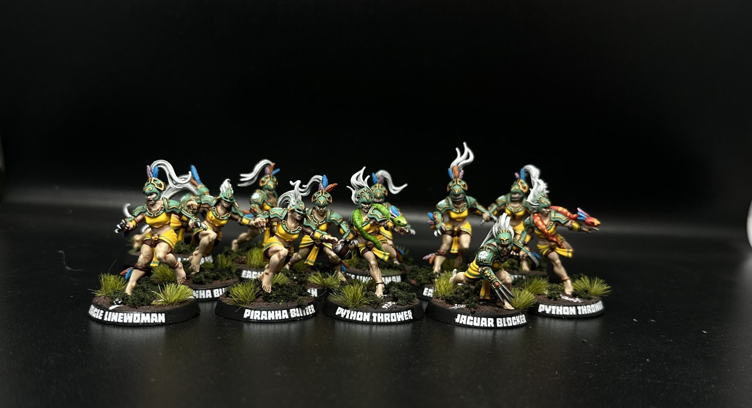Blood Bowl Amazons in green and yellow